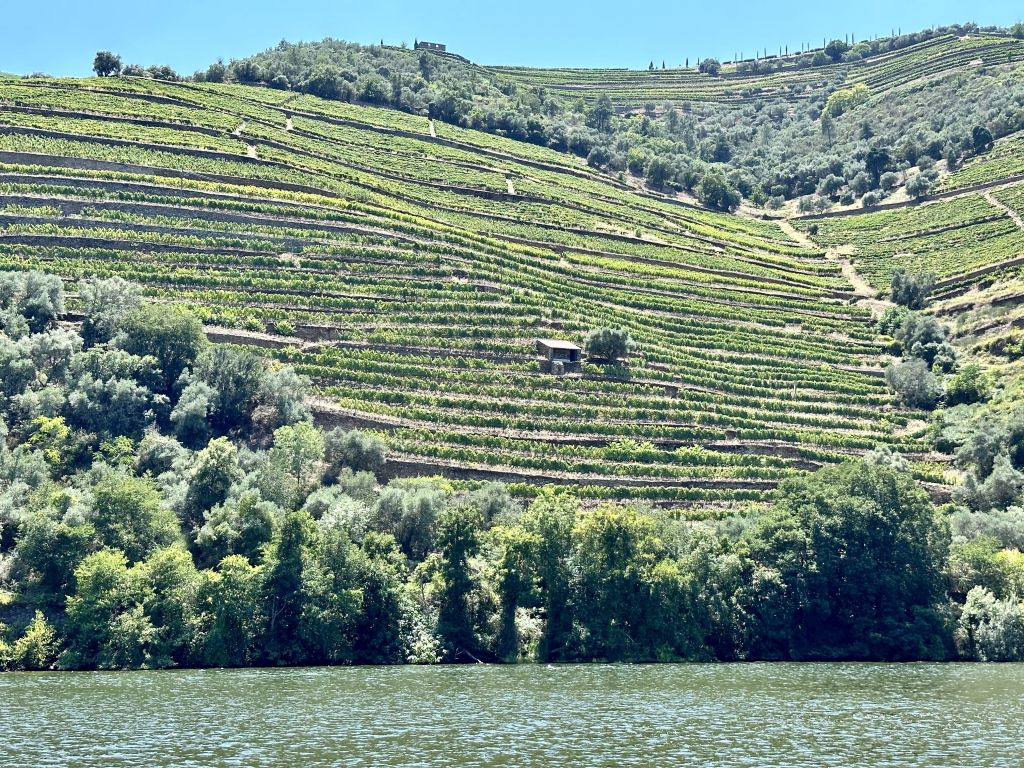 Douro Valley: Downstream Cruise from Régua to Porto with Lunch