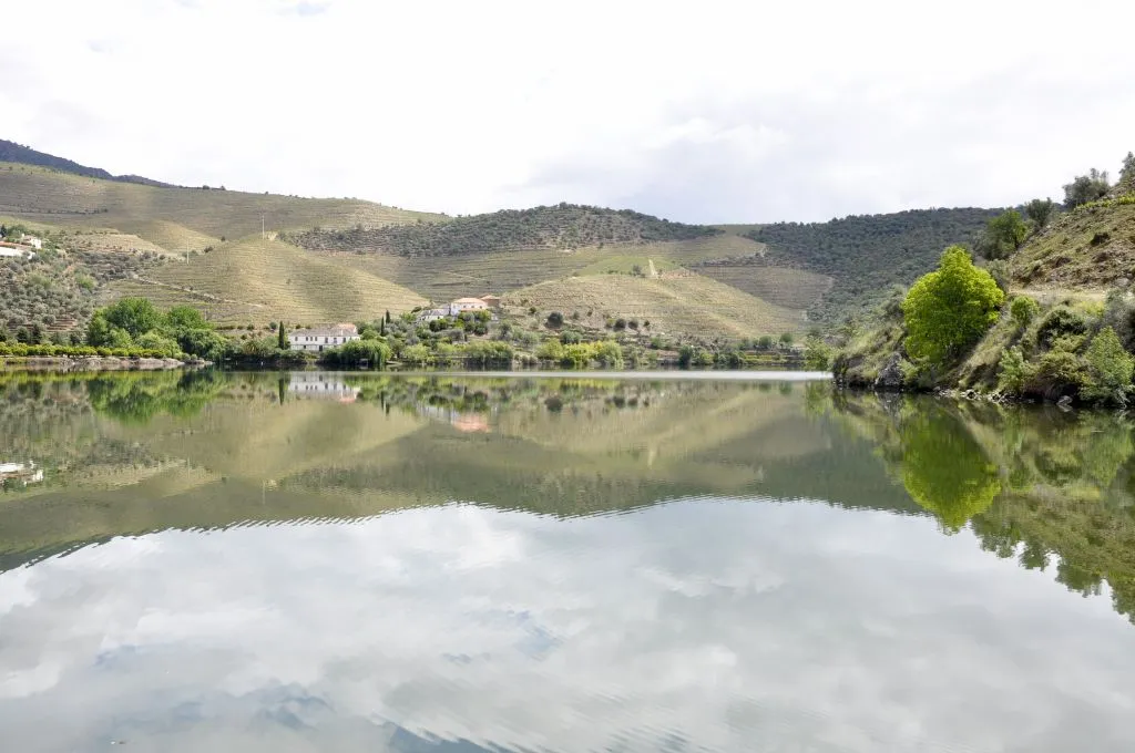 Douro Valley: Downstream Cruise from Régua to Porto with Lunch