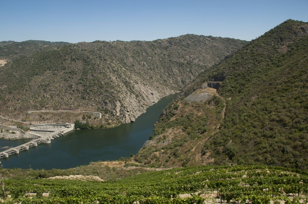 Douro Valley: Downstream Cruise from Régua to Porto with Lunch