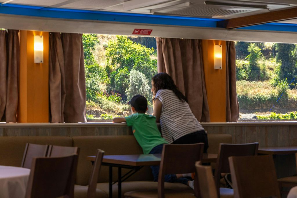 Douro Valley: Downstream Cruise from Régua to Porto with Lunch