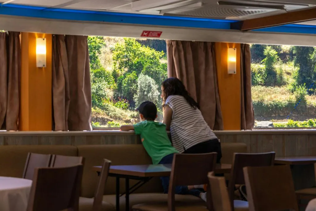 Douro Valley: Downstream Cruise from Régua to Porto with Lunch
