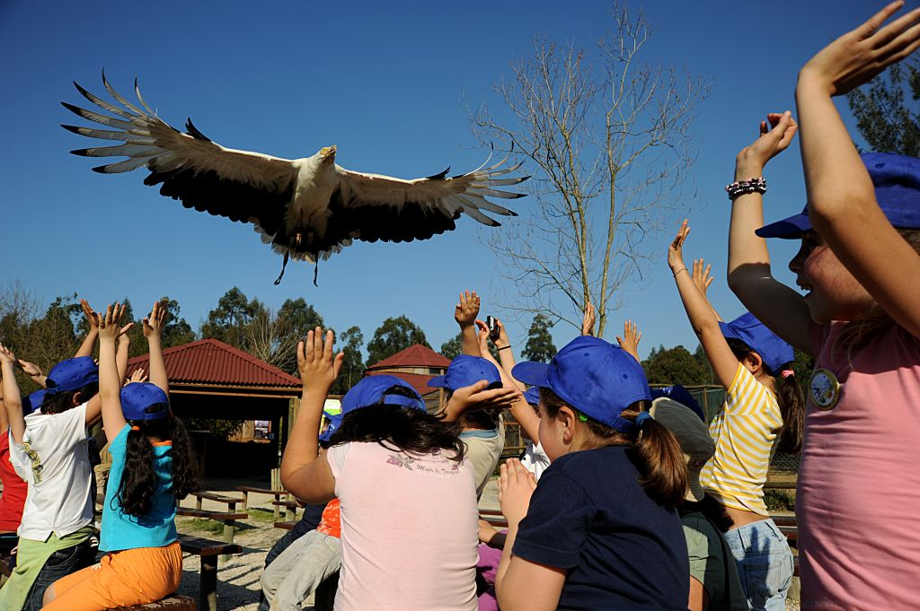 Zoo Santo Inácio: Skip The Line Ticket