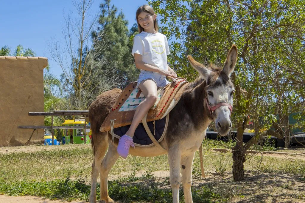 Krazy World Algarve Park: Entry Ticket