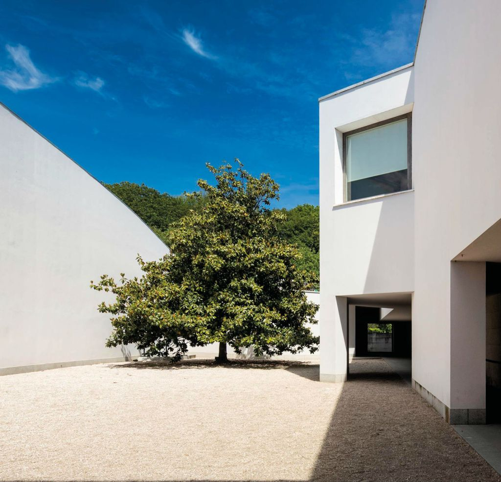 Serralves Foundation: All-Access Entry Ticket