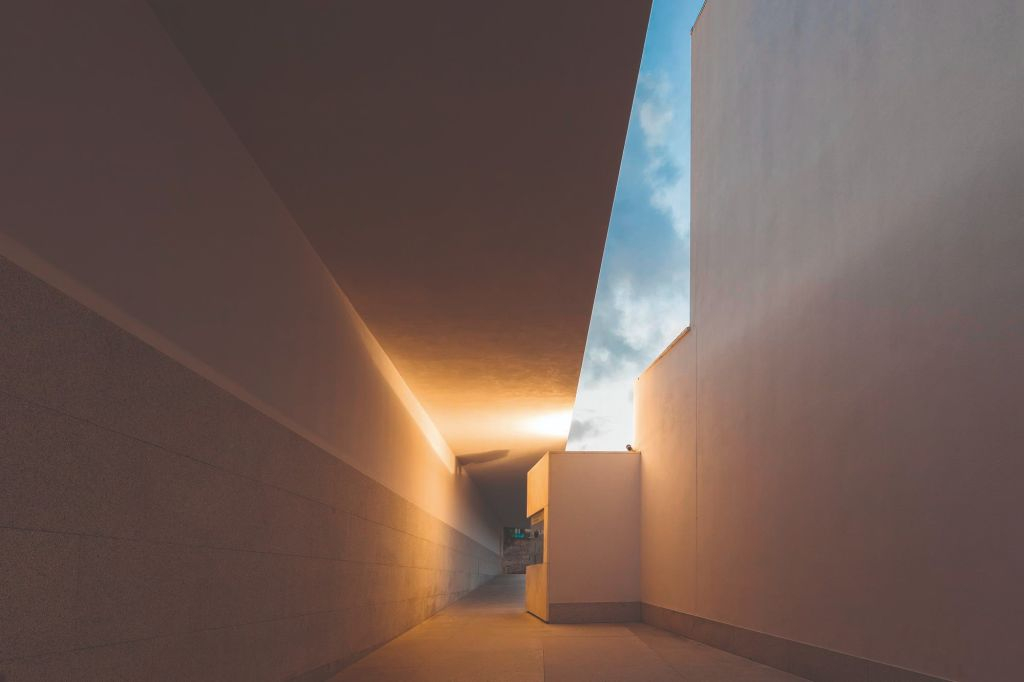 Serralves Foundation: All-Access Entry Ticket