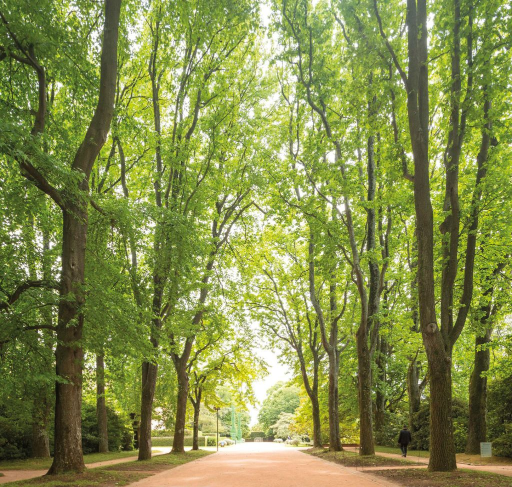 Serralves Foundation: All-Access Entry Ticket