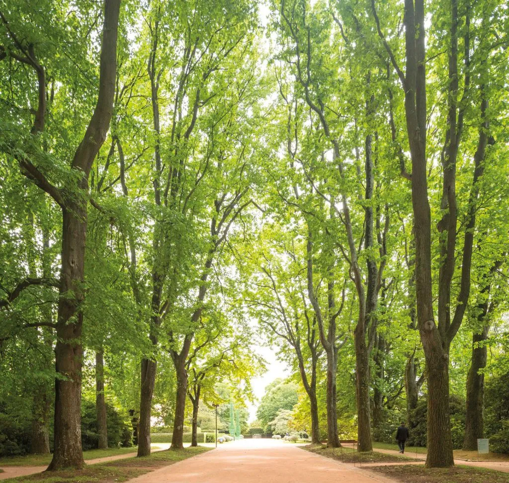 Serralves Foundation: All-Access Entry Ticket