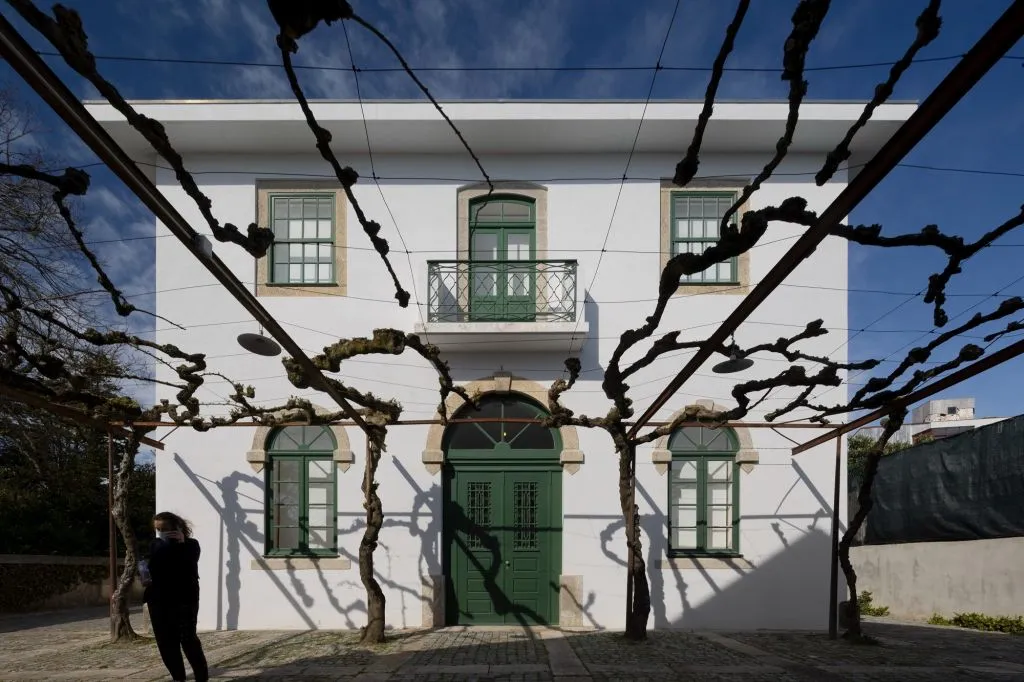 Serralves Foundation: All-Access Entry Ticket