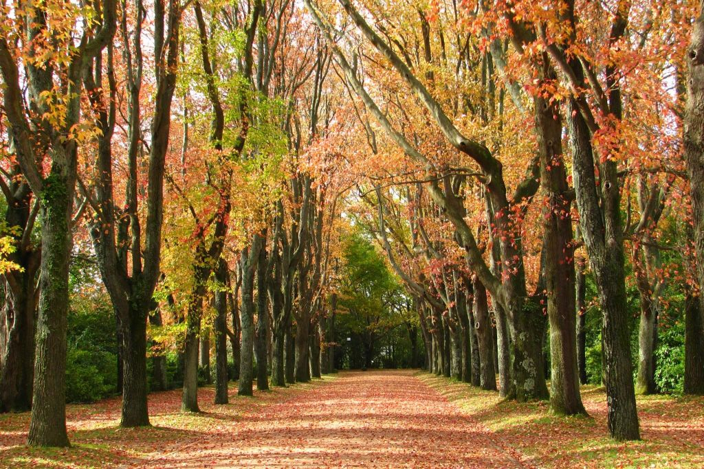 Serralves Foundation: All-Access Entry Ticket