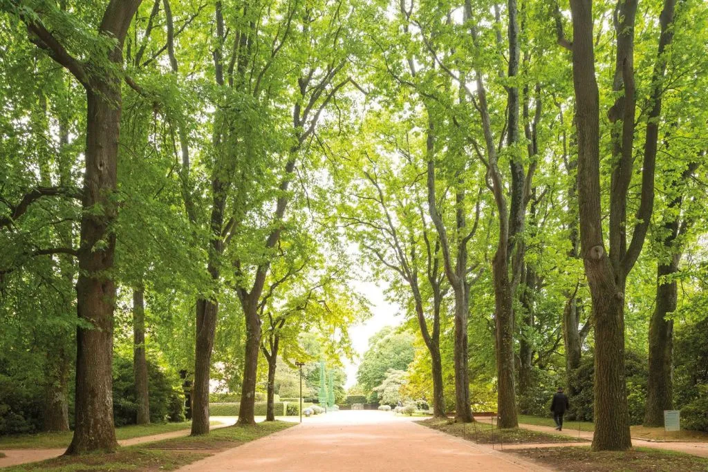 Serralves Foundation: All-Access Entry Ticket