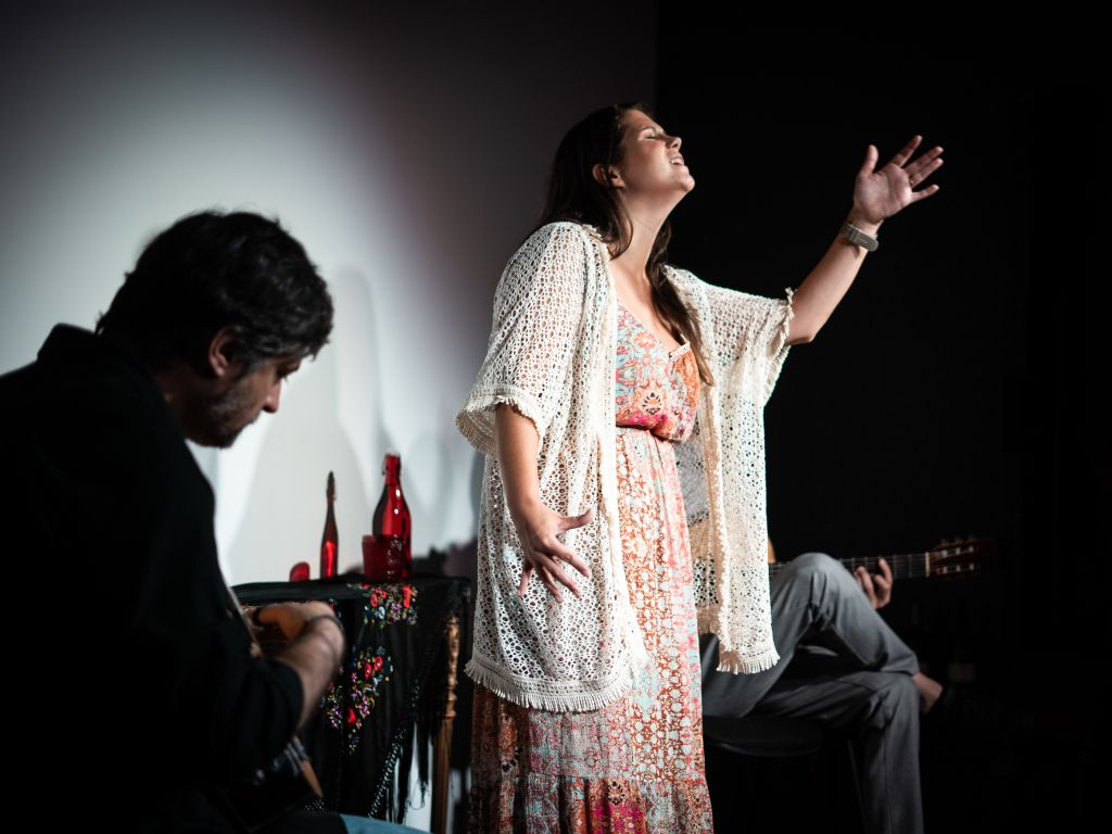 Porto: Fado na Baixa