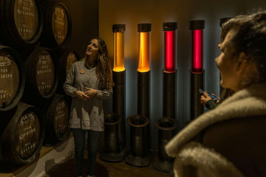 Caves Poças: Guided Tour & Wine Tasting of 3 Port Wines