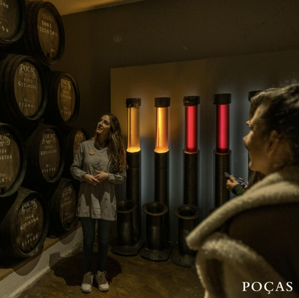 Caves Poças: Guided Tour & Wine Tasting of 3 Port Wines
