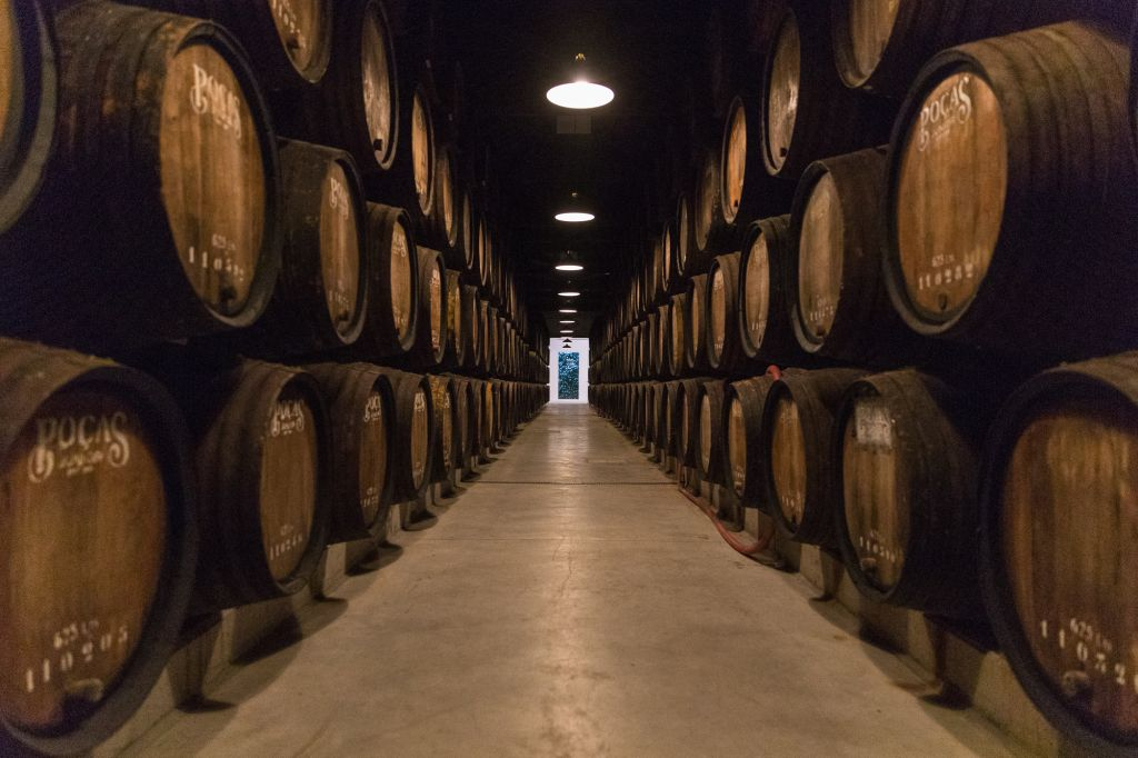 Grotte Poças: Visita guidata + degustazione di 3 vini di Porto