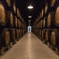 Caves Poças: Guided Tour & Wine Tasting of 3 Port Wines