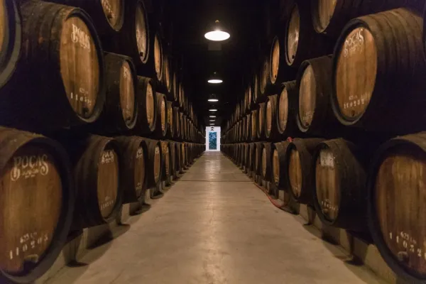 Caves Poças : Visite guidée + dégustation de 3 vins de Porto