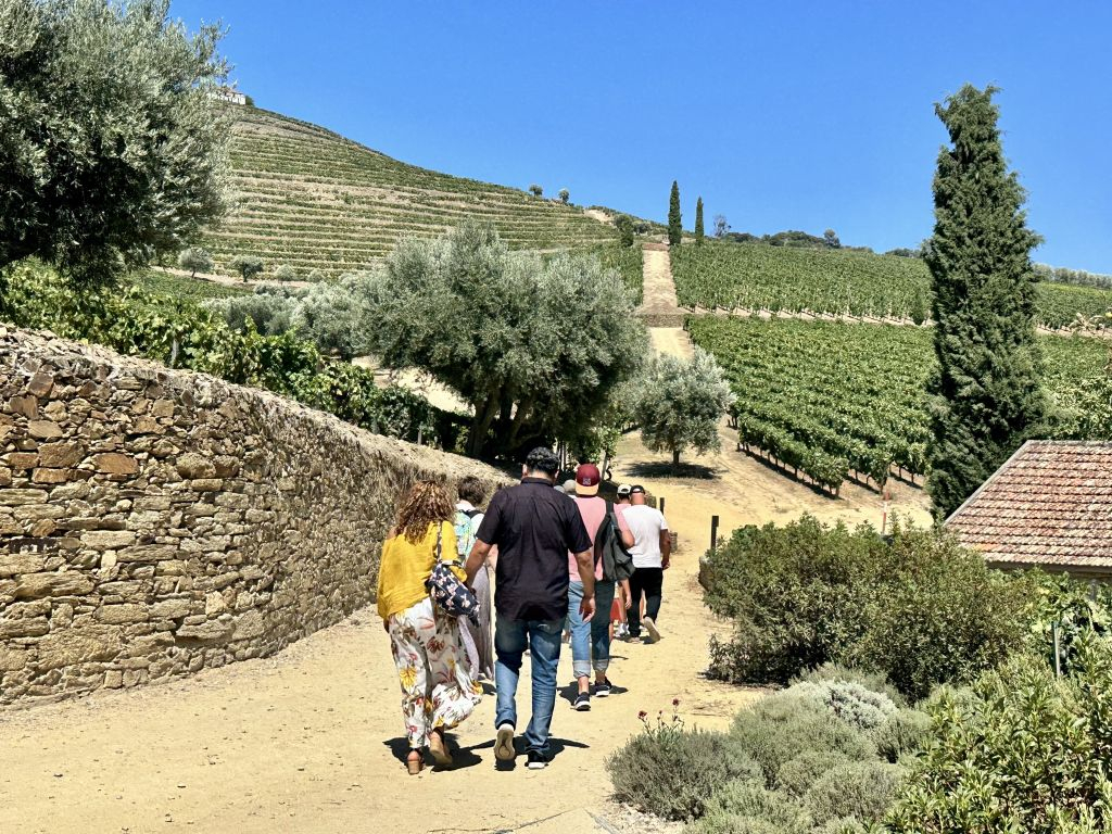 Valle del Douro: Tour in barca + colazione e pranzo da Porto