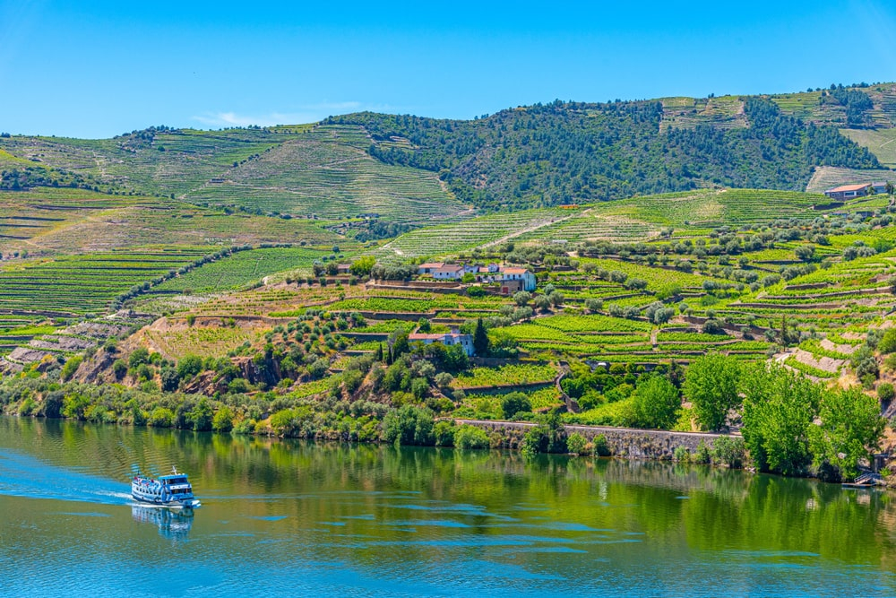 Douro Valley: Cruise from Porto to Régua with Breakfast and Lunch