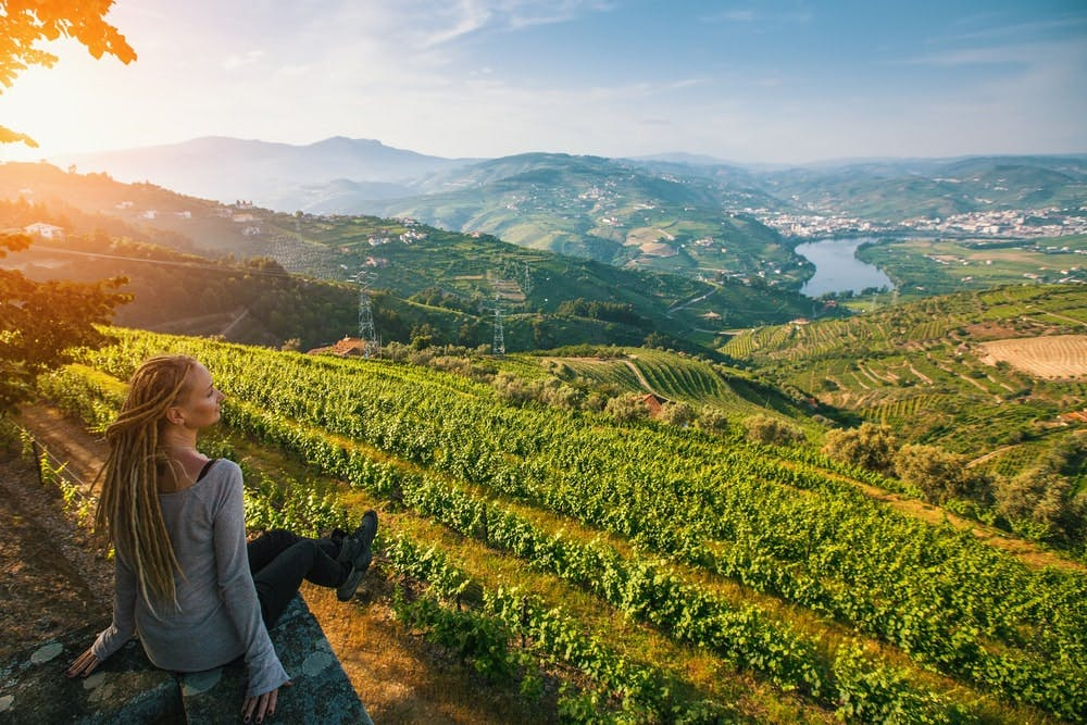 Douro Valley: Cruise from Porto to Régua with Breakfast and Lunch