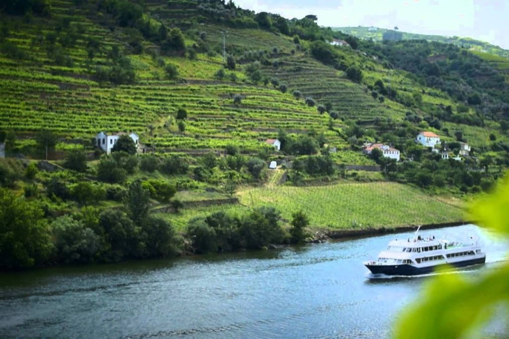 Douro Valley: Cruise from Porto to Régua with Breakfast and Lunch