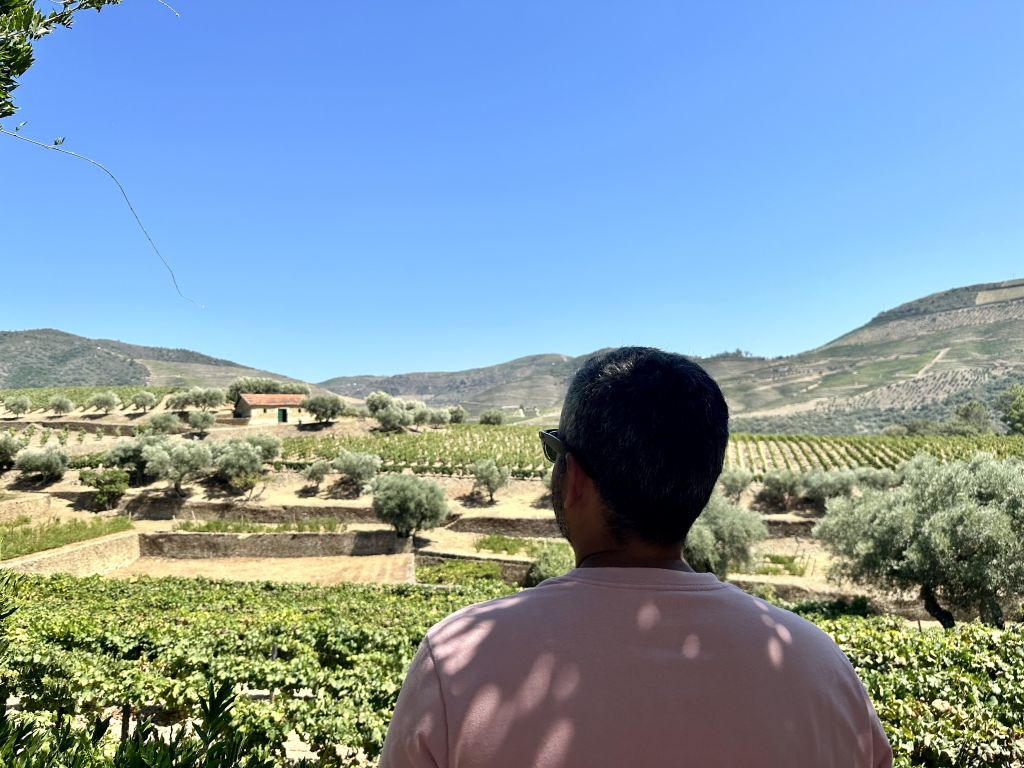 Douro Valley: Cruise from Porto to Régua with Breakfast and Lunch