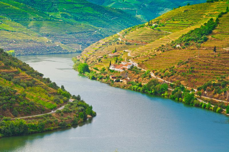 Douro Valley: Cruise from Porto to Régua with Breakfast and Lunch