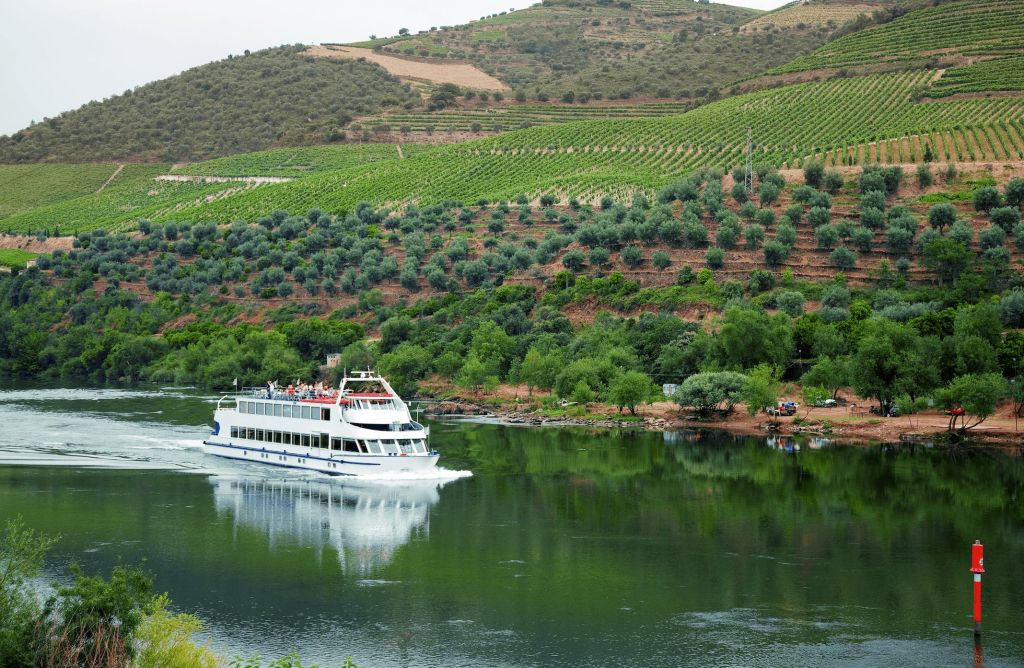 Douro Valley: Cruise from Porto to Régua with Breakfast and Lunch