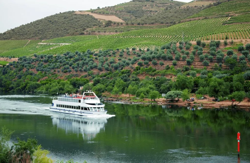 Douro Valley: Cruise from Porto to Régua with Breakfast and Lunch