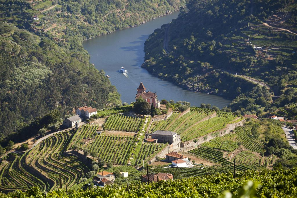 Douro Valley: Cruise from Porto to Régua with Breakfast and Lunch