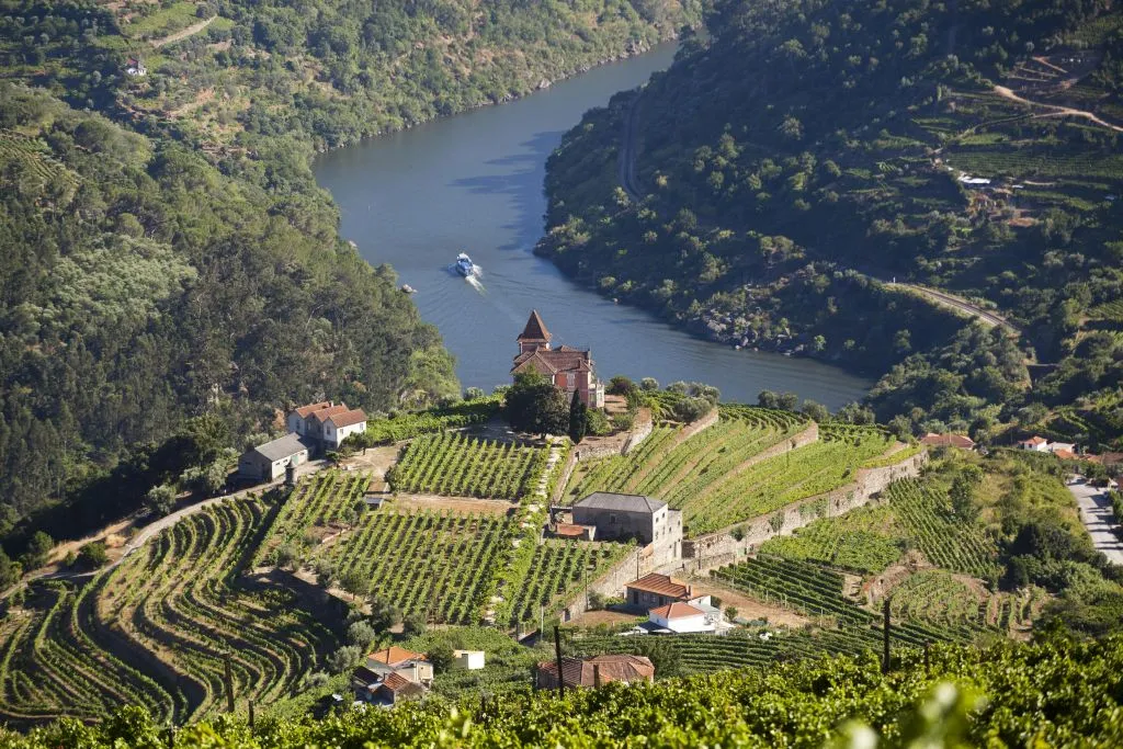 Douro Valley: Cruise from Porto to Régua with Breakfast and Lunch