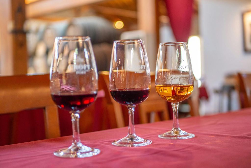 Douro Valley: Day Trip from Porto with Cruise + Port Wine Tasting