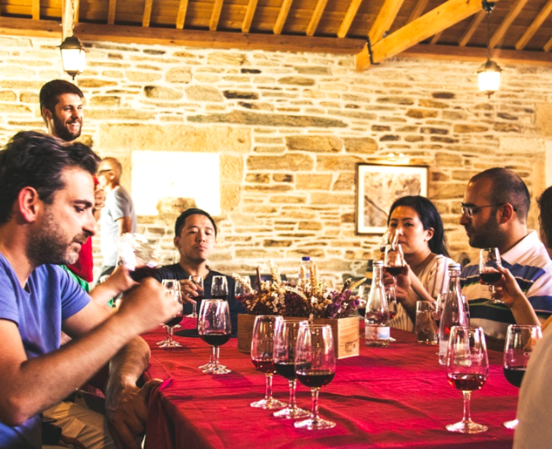 Douro Valley: Day Trip from Porto with Cruise + Port Wine Tasting