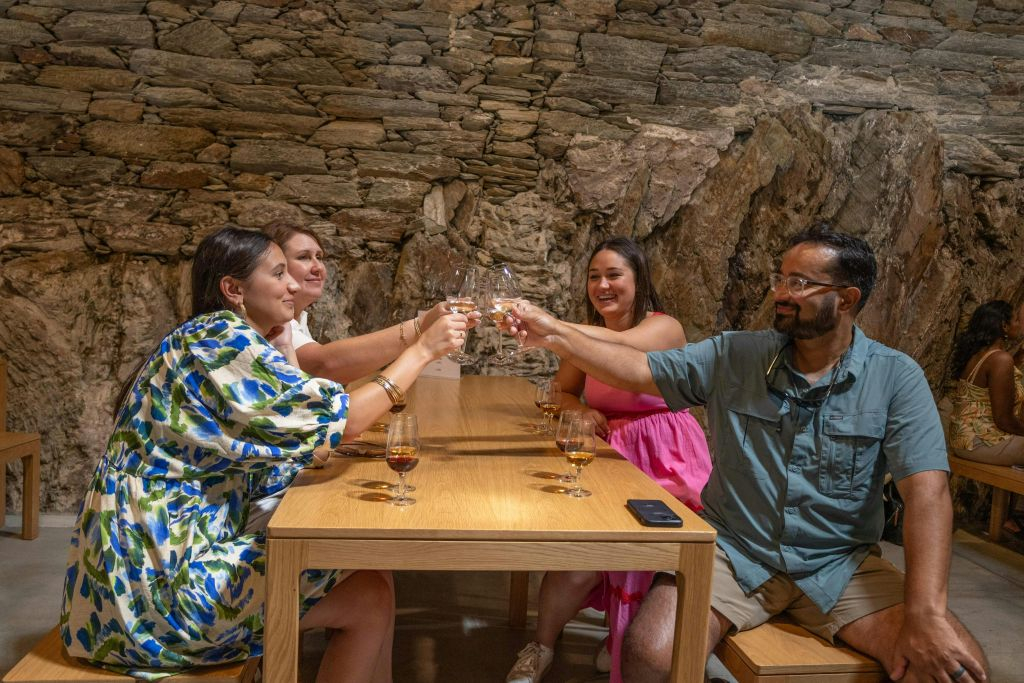 Douro Valley: Day Trip from Porto with Cruise + Port Wine Tasting