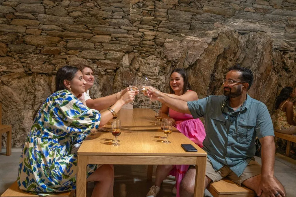 Douro Valley: Day Trip from Porto with Cruise + Port Wine Tasting