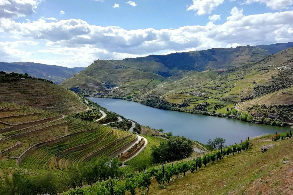 Douro Valley: Day Trip from Porto with Cruise + Port Wine Tasting