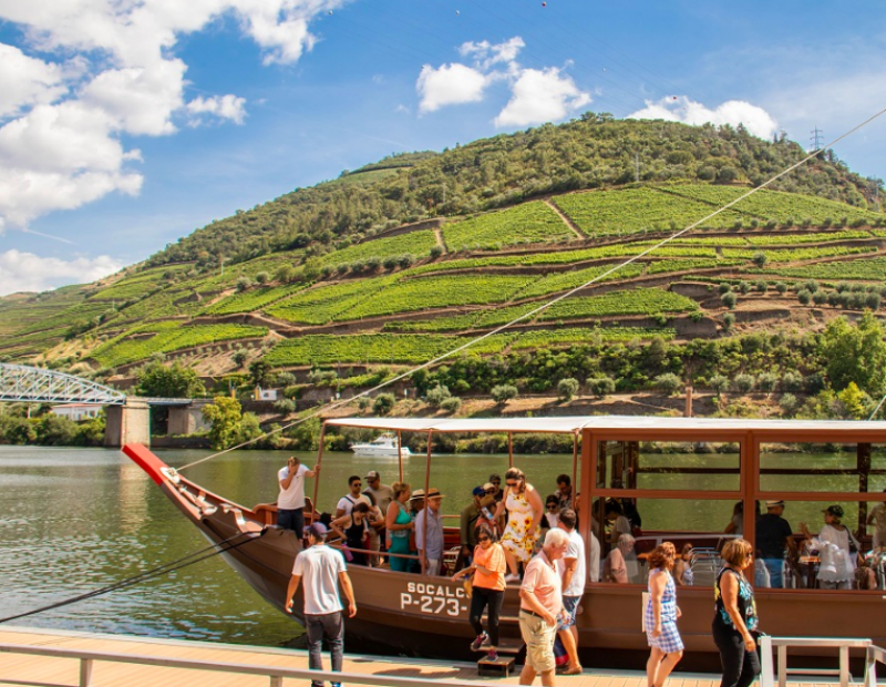 Valle del Duero: Excursión de un día + paseo en barco y almuerzo desde Oporto