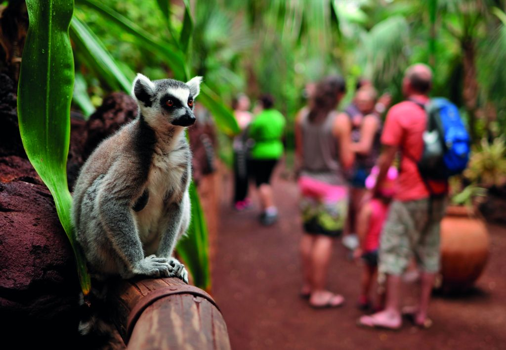 Oasis Wildlife Fuerteventura 