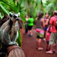 Oasis Wildlife Fuerteventura