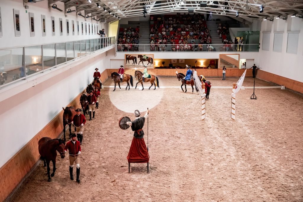 Portuguese School of Equestrian Art: Morning Training
