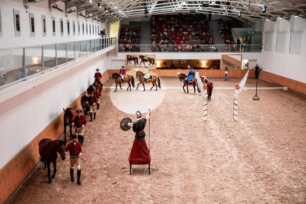 Portuguese School of Equestrian Art: Morning Training