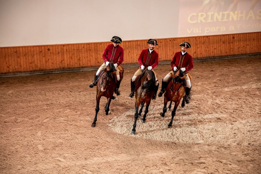 Portuguese School of Equestrian Art: Morning Training