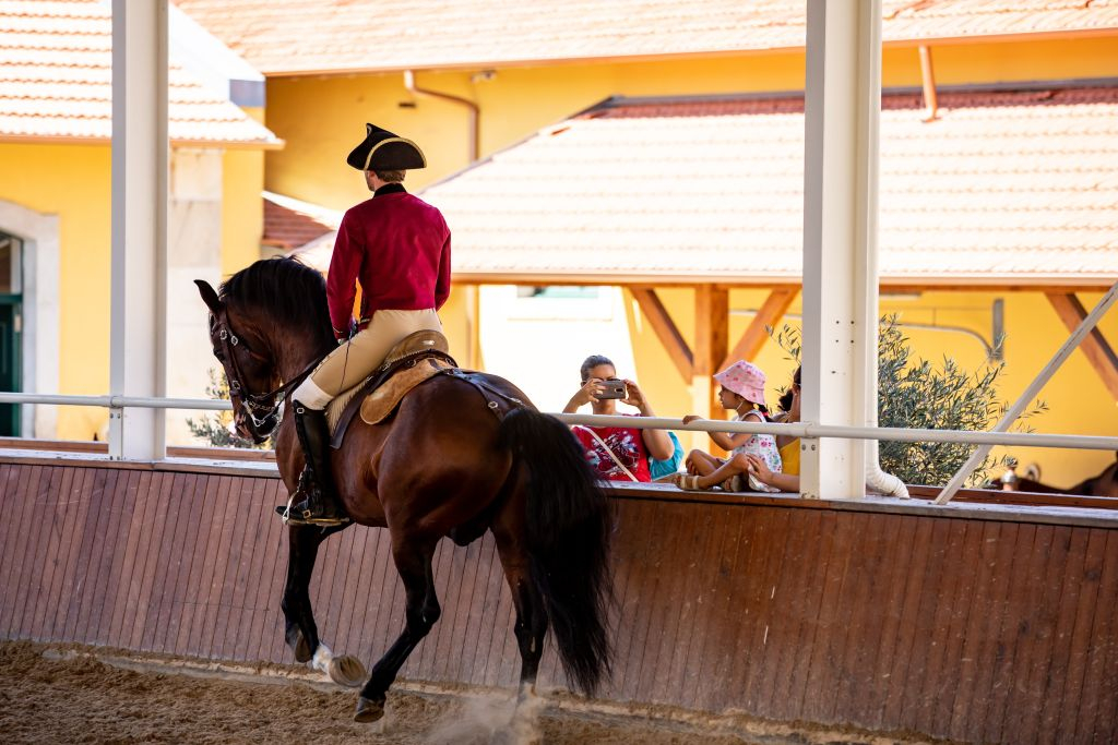 Scuola Portoghese di Arte Equestre: Allenamento mattutino