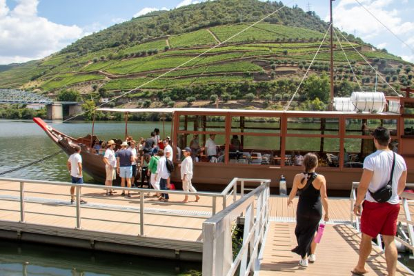 Douro Valley: Day Trip from Porto with Wine, Cheese, & Olive Oil Tasting