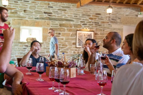 Douro Valley: Day Trip from Porto with Wine, Cheese, & Olive Oil Tasting