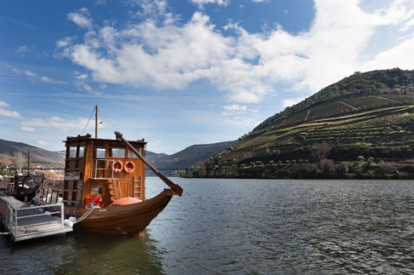 Douro Valley: Day Trip from Porto with Wine, Cheese, & Olive Oil Tasting