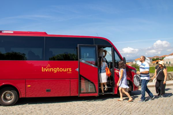 Douro Valley: Day Trip from Porto with Wine, Cheese, & Olive Oil Tasting