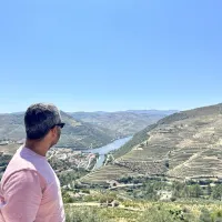 Douro Valley: Day Trip from Porto with Wine, Cheese, & Olive Oil Tasting
