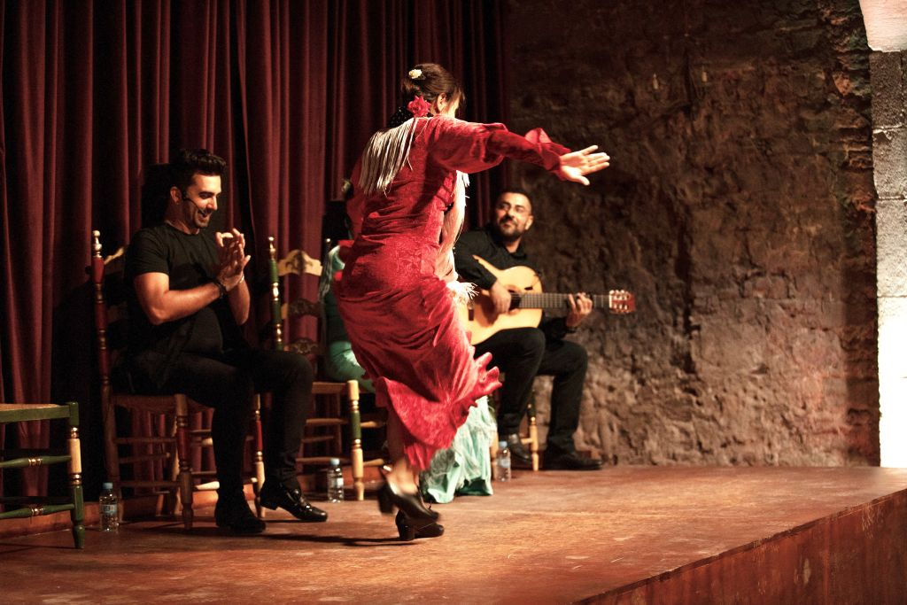Flamenco Palau Dalmases