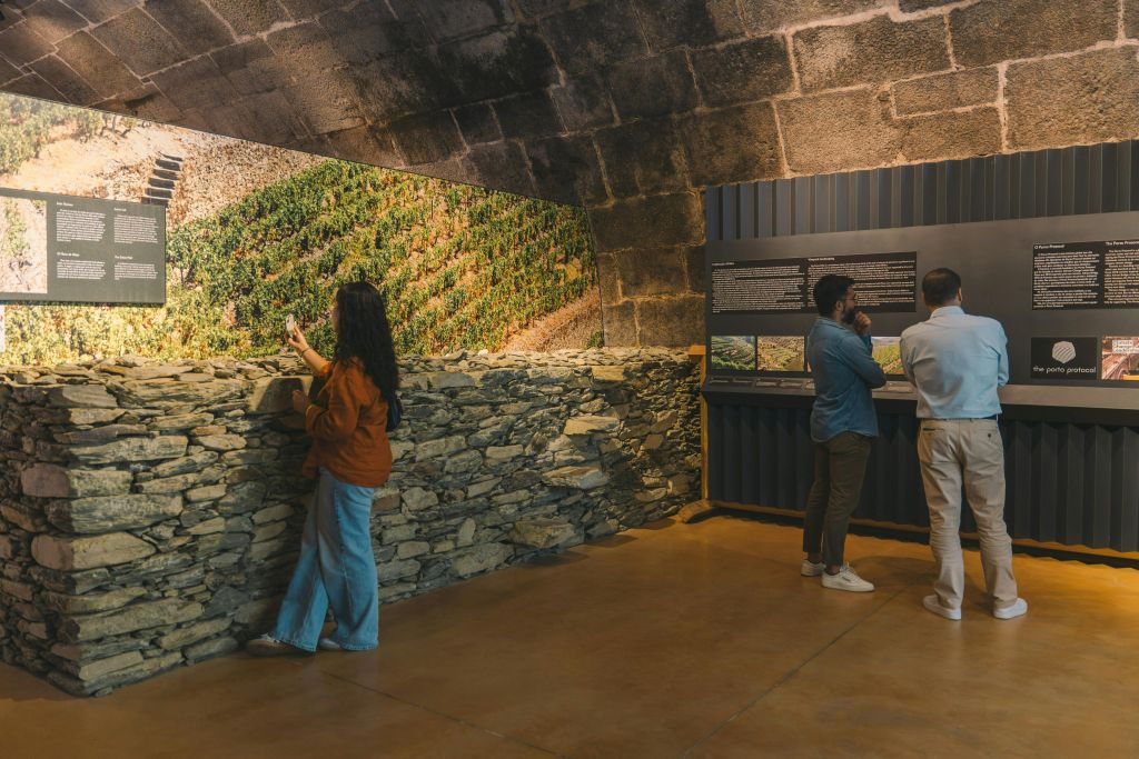 Fonseca Port Cellar