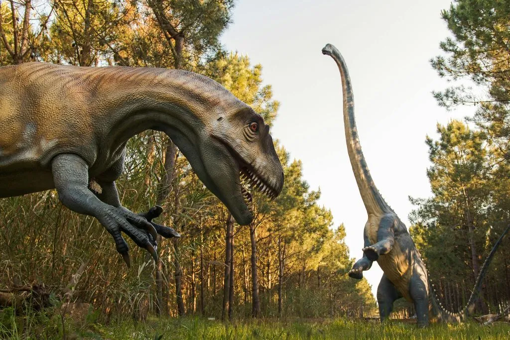 Dino Parque Lourinhã: Bilhete de entrada